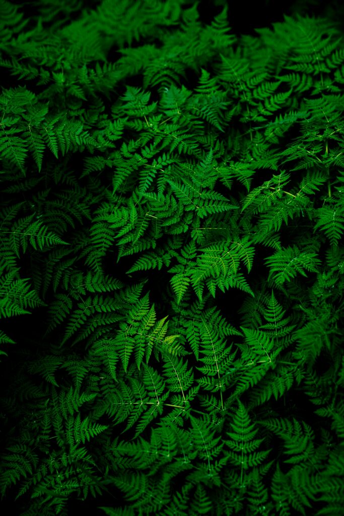 automotive green